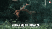 Piwo GIF by Zubr