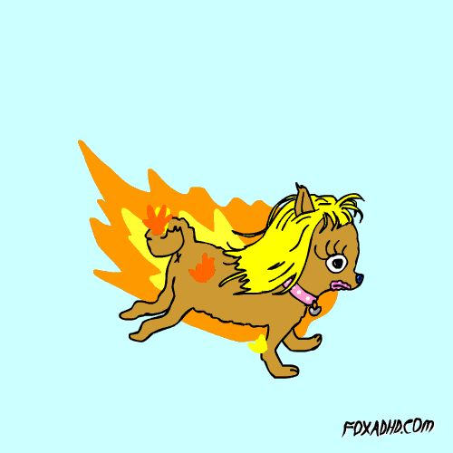 Animation Domination Dog GIF by gifnews