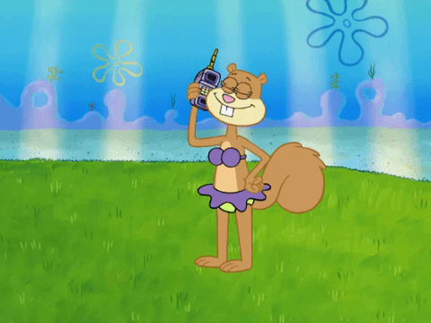 season 6 gullible pants GIF by SpongeBob SquarePants