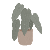 _art_by_sanne_ plant plants planten plant lover Sticker
