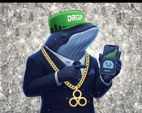 Memecoin Xrp GIF by $DROP