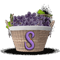 Wine Tasting Sticker by Schwaderer Wines
