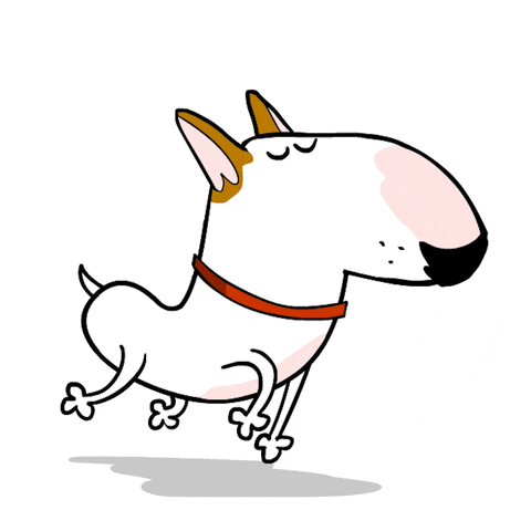 Chilling Bull Terrier GIF by Jimmy the Bull