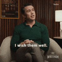 Sarcastic Rob Mcelhenney GIF by Welcome to Wrexham