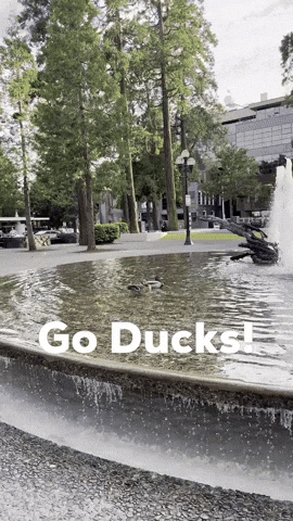 University Of Oregon GIF