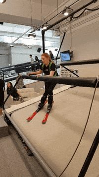 ski GIF