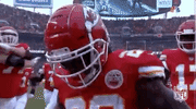 2018 Nfl Football GIF by NFL
