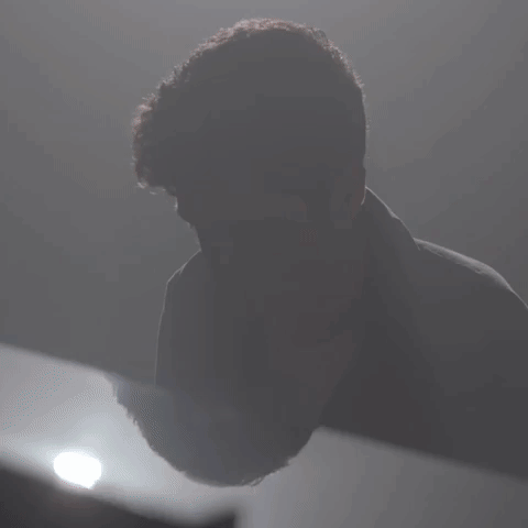 wingtip GIF by Casablanca Records