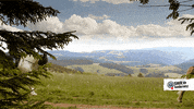 Lets Go Horse GIF by SWR Kindernetz