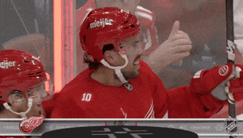 Happy Red Wings GIF by NHL