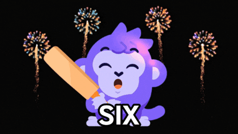 Australia Cricket GIF by Raena AI