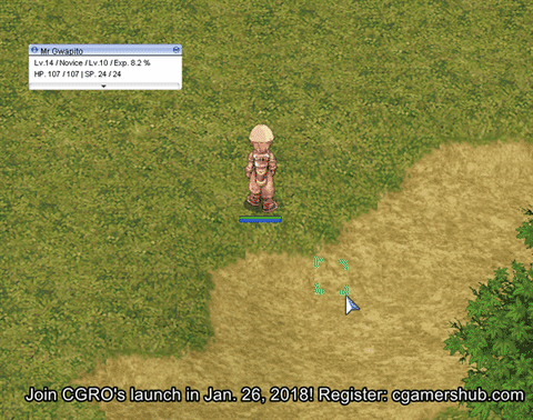 ragnarok online GIF
