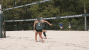 GIF by Jacksonville University