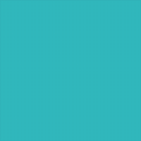 cat stars GIF by Mitteldeutscher Rundfunk