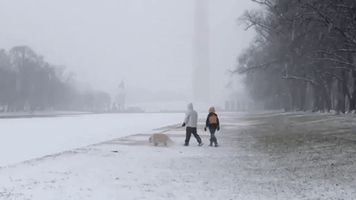 Snowfall Shrouds Washington Monument