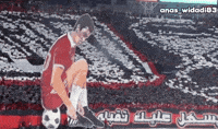 Morocco Winners GIF
