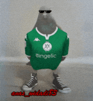 Morocco Winners GIF