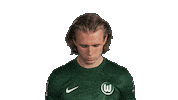 Look Up Vfl Wolfsburg Sticker by Bundesliga