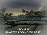 hey arnold nicksplat GIF