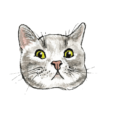 Instapost Sticker