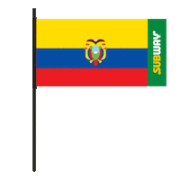 Football Futbol Sticker by Subway Colombia