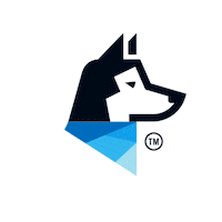 Playground Koda Sticker by Brooks Laich