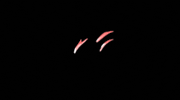 Animation Glowing GIF by youmotion.com