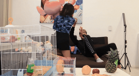 giphyupload GIF