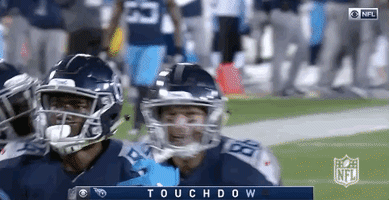 2018 Nfl Football GIF by NFL