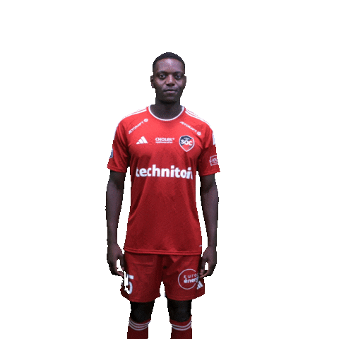 Monzango Sticker by SO CHOLET