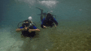 destinationgoodstuff travel vacation paradise caribbean GIF