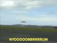 danterats plane boeing flyby 757 GIF