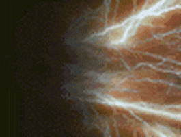 nikola tesla GIF