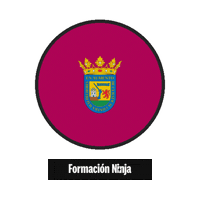 Flag Spain Sticker by Formación Ninja