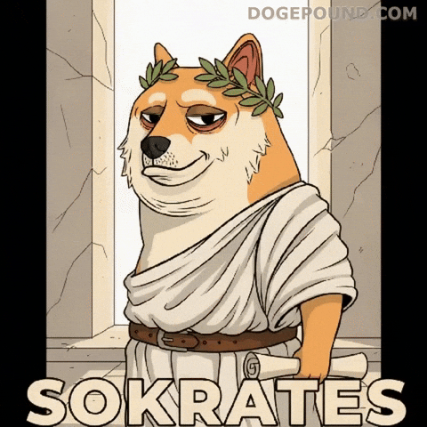 Judging Ancient Greece GIF by Doge Pound