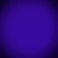 Voting Election 2020 GIF by #GoVote