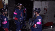 GIF by International Ice Hockey Federation