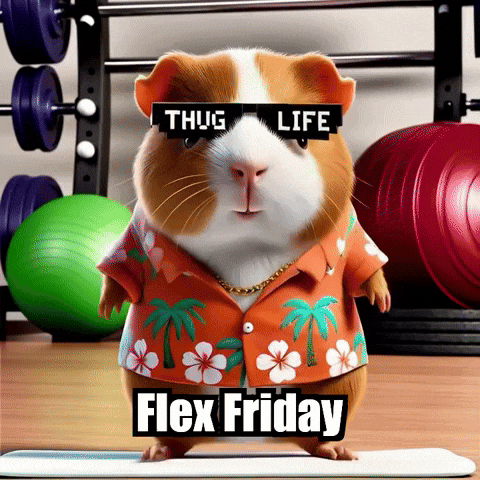 Fitness Workout GIF by Guinea Gambino