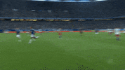 Soccer Celebration GIF by FC Schalke 04