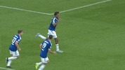Soccer Celebration GIF by FC Schalke 04