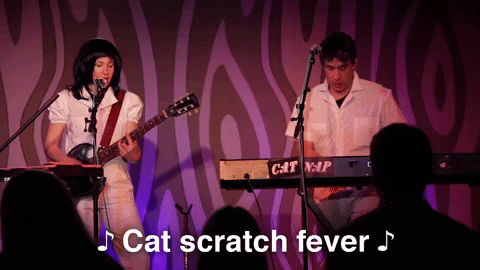 cat scratch fever episode 6 GIF by Portlandia