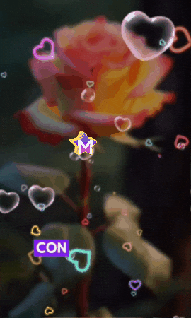 Del Mundo Dia GIF by Murcianys LLC