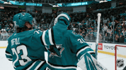 San Jose Win GIF by NHL