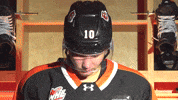 medhattigers hockey celly quiet shh GIF