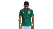 World Cup Futbol Sticker by MiSelecciónMX