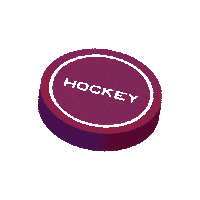 Ice Skating Sticker