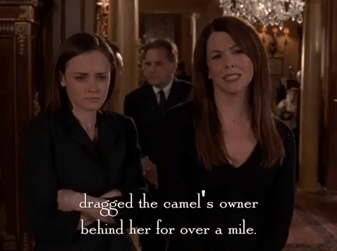 season 4 netflix GIF by Gilmore Girls 