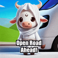 Roadtrip Views GIF by Sagemoohammad