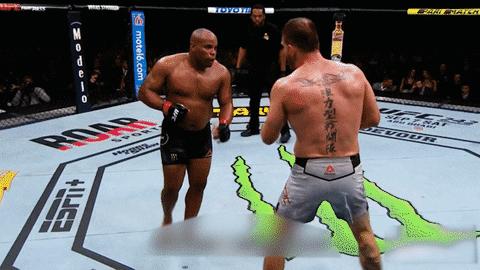 MMAcoach79 giphyupload ufc 241 mma training ufc training GIF
