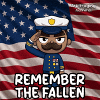 Remember Stars And Stripes GIF by VeeFriends